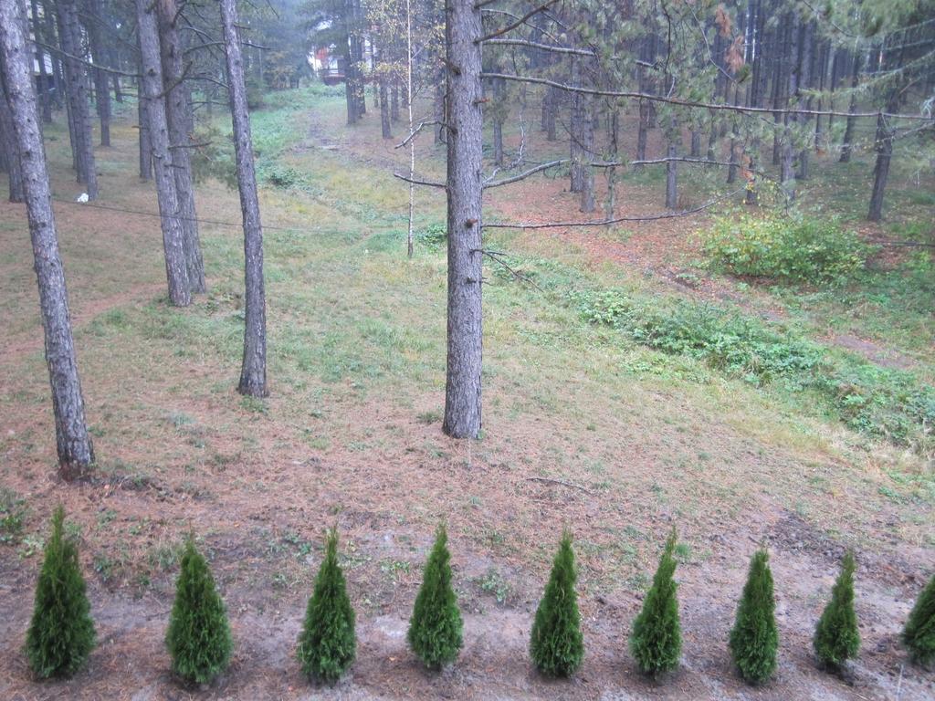 Apartment Kiki Zlatibor Quarto foto